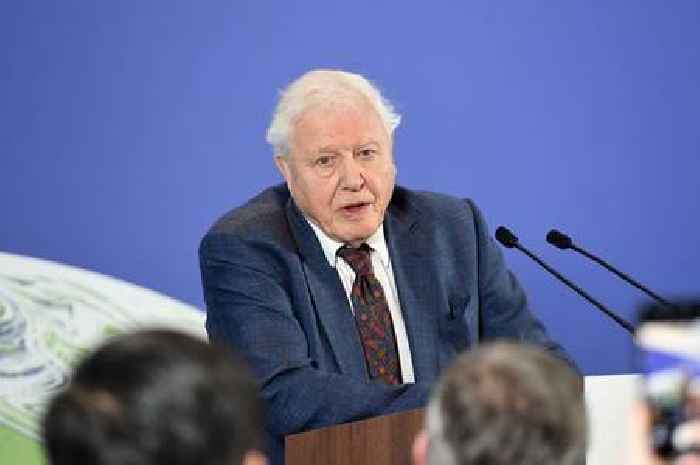Huge surge in support for new bank holiday to honour Sir David Attenborough