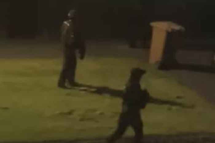 Armed cops storm Scots street after cars 'shot at by airgun' as police helicopter called
