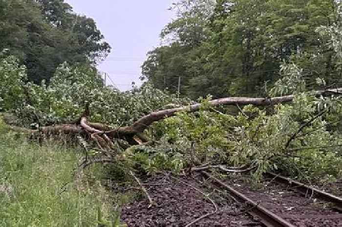 'Do not travel' warning after tree causes 'significant damage' on Scots rail line