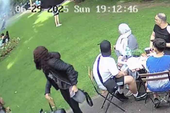 Feral teen gang in Scots park 'hurled firework at mums with babies'