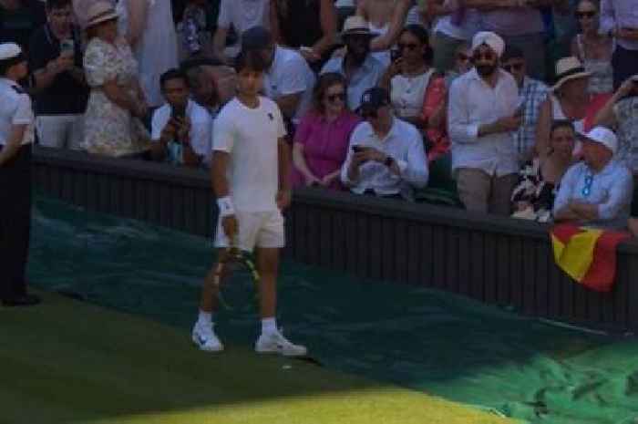 Carlos Alcaraz rushes to Wimbledon supporter as medical emergency stops match