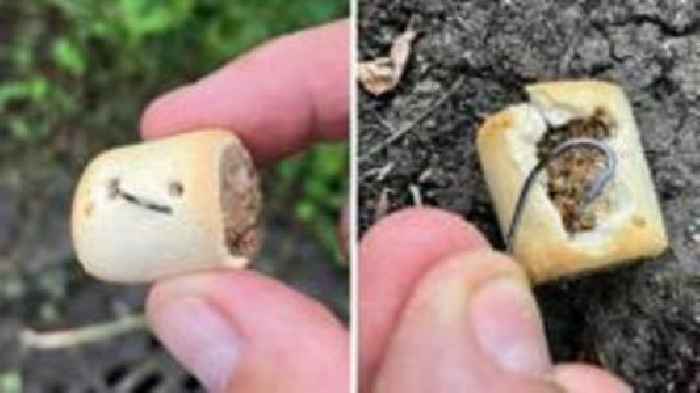 Dog treats laced with fishhooks found in park