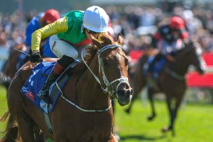 Classy Kon Tiki ready to leave her Distaff rivals all at sea