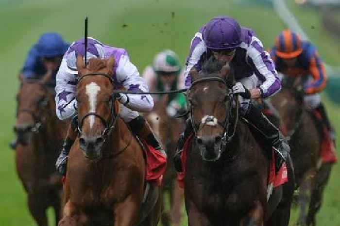 No complaints if Delacroix downs Ombudsman in Classic Eclipse