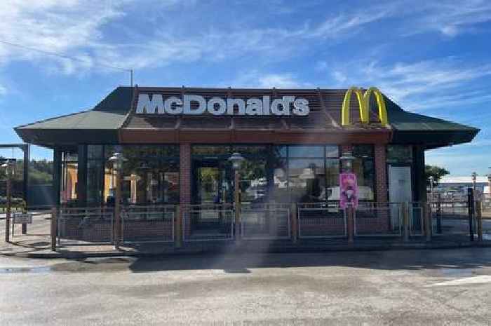 Invasion of flies disgusts diners at Derby McDonald's and wider Meteor Centre