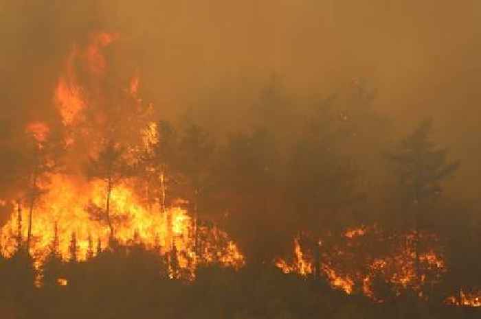 50,000 evacuated in Turkish hotspots as wildfires rage