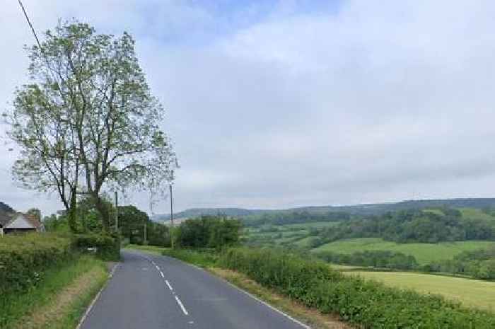 Live: A375 blocked due to fallen tree