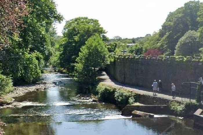 Man tries to snatch bag from woman with pushchair on riverside path