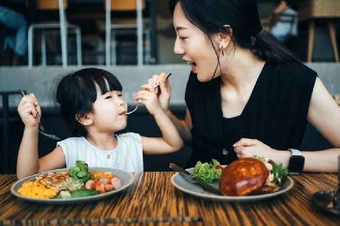 All the foods that can raise your child's attention span at school