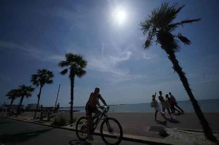 Professor warns of UK heatwave dangers as they could become more common