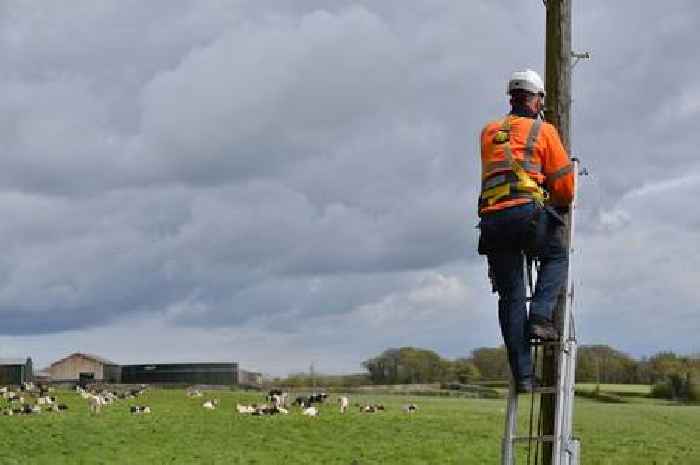 The Surrey towns and villages that are getting ‘once-in-a-generation’ broadband upgrade