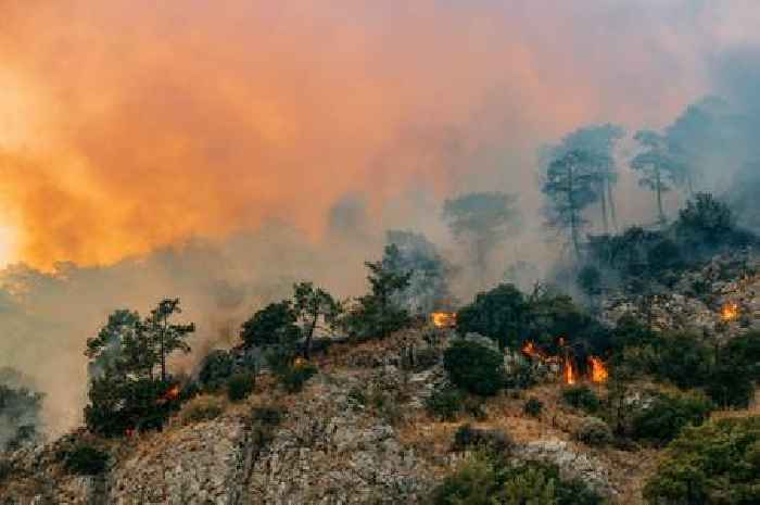 How do wildfires start as Turkey evacuates 50,000 people during monster blaze