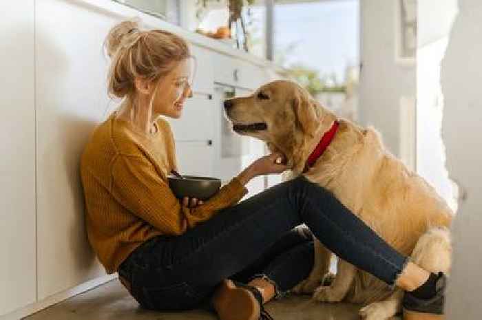 Dog owners issued 'it can kill within hours' warning