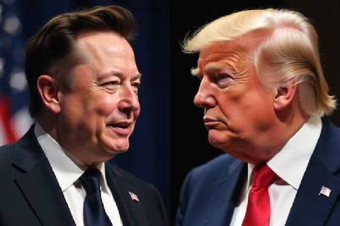 Trump Musk fallout: from power pals to deportation threat