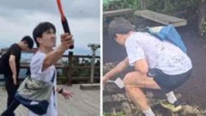Millions of 'lovebugs' swarm hikers in South Korea