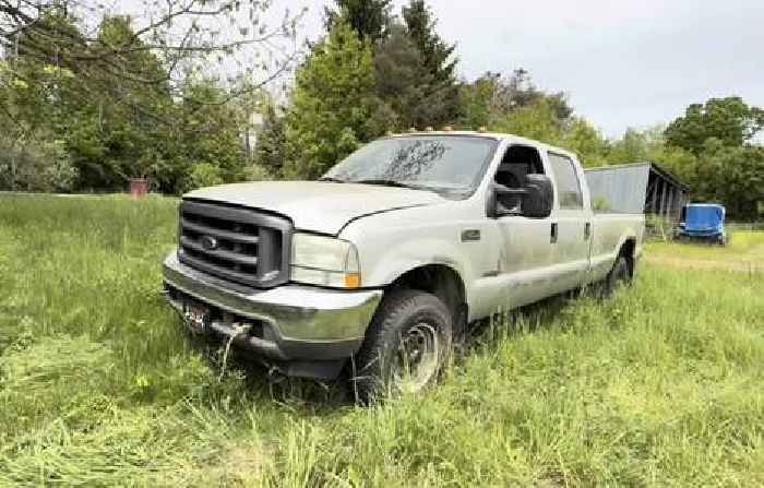 Grandson Sold Grandpa's Ford Truck for Cheap, Will It Start After 7 Years in the Woods?