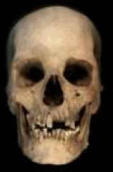 Ancient Egyptian history may be rewritten by DNA bone test