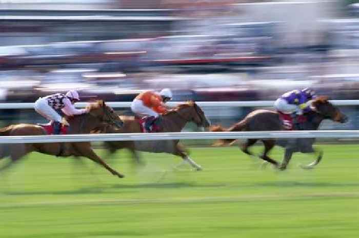 Free William Hill shop bet every day of the Newmarket festival