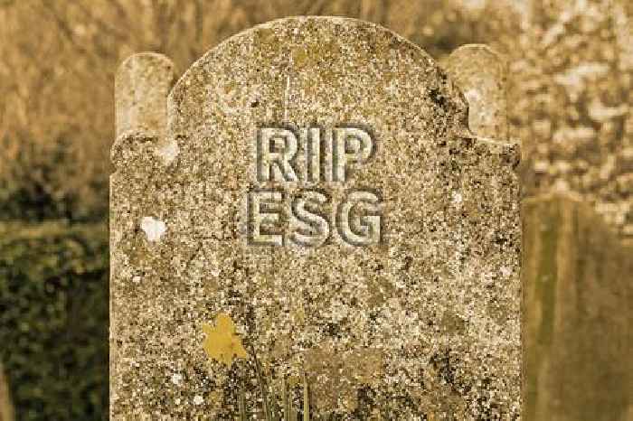 Calm heads make a welcome return to ESG debate