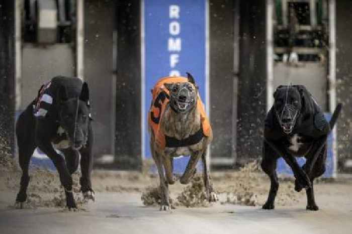 New greyhound racing stadium offers hope of sporting revival