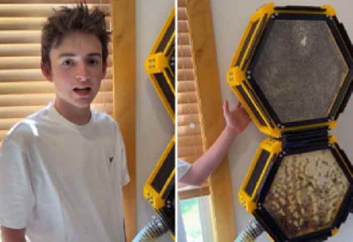 13-Year-Old Shows Off His 3D-Printed Indoor Beehive