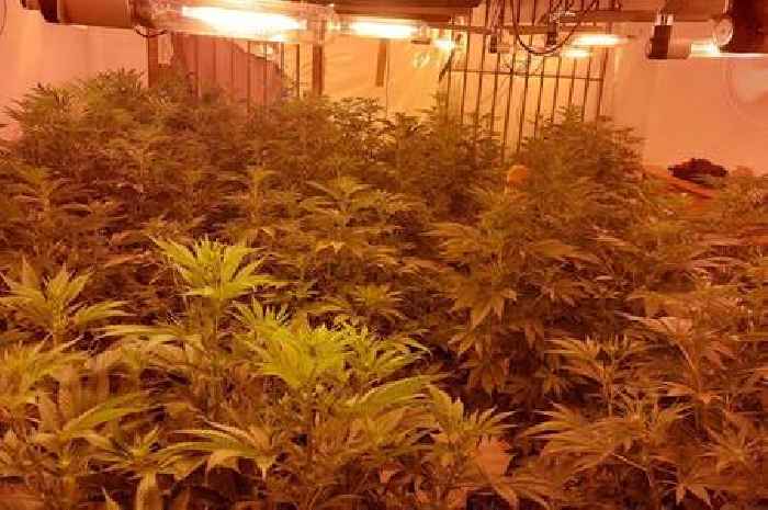 Police say 'spot the signs' after major raid on town home