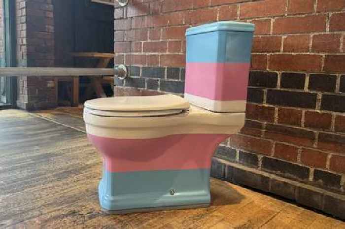 Bristol cinema unveils eye-catching 'trans loo' to defy transgender rights ruling