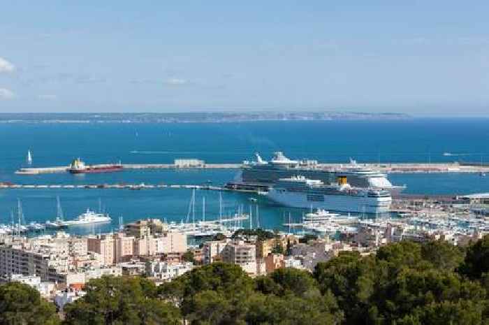 Rats 'the size of rabbits' swarm Brits' holiday hotspot as furious locals demand action