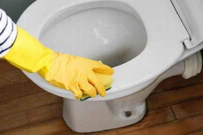 'Game-changing' item will make your toilet seat stains disappear in seconds