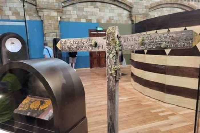 Natural History Museum showcases lichen-covered Exmoor relic