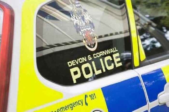 Man found dead in woods near Truro as murder investigation launched