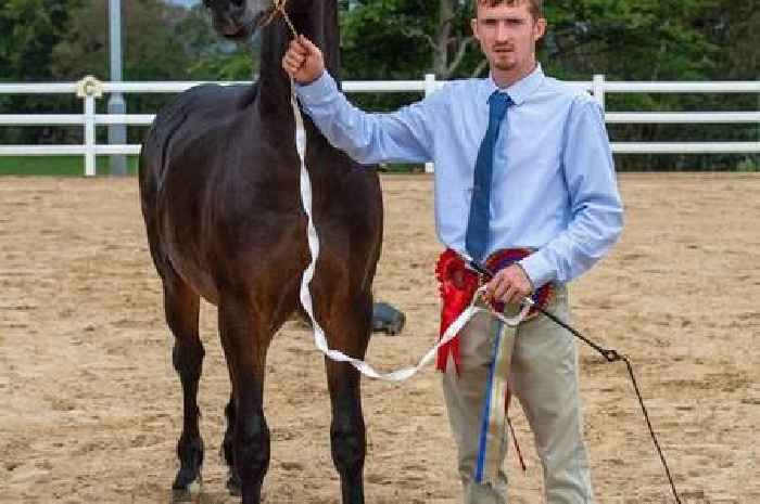 Man sexually abused horses at stables where he volunteered