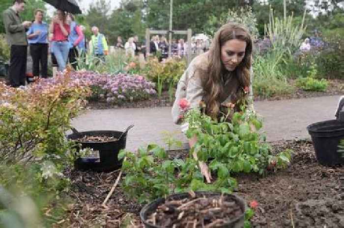 Kate Middleton gives new 'rollercoaster' cancer update