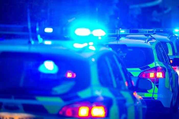 Essex man died in M11 crash after lorry driver went through central reservation, inquest told