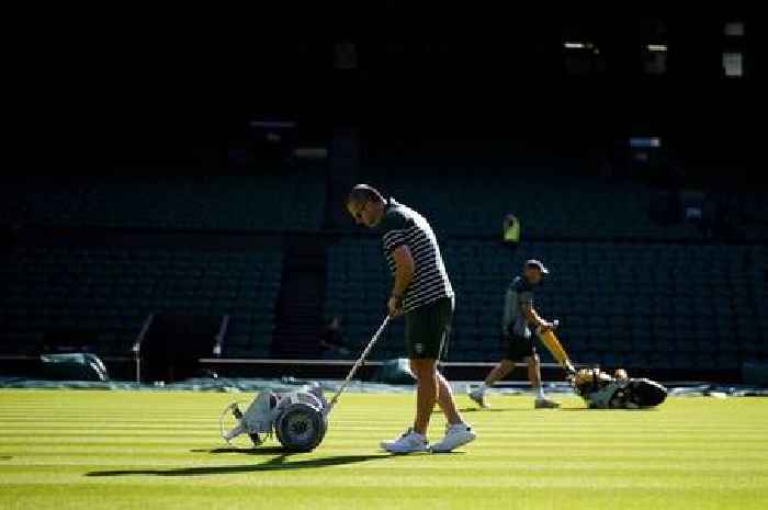 Wimbledon head groundsman's trick to make sure Centre Court grass isn't destroyed in heatwave