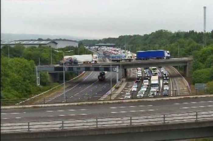 Kent M20 live traffic updates as loose dog and broken down hay lorry cause delays near Maidstone