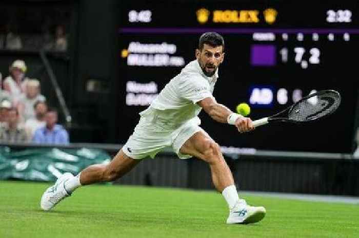 Wimbledon's Novak Djokovic's 'insanely healthy' diet - from warm lemons to algae