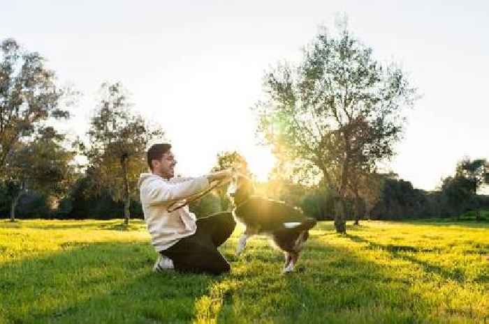 Three dog breeds a canine expert would 'never' own – including very popular choice