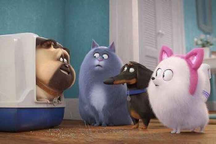 'Wholesome' family film is a 'must-watch' before it's pulled from BBC