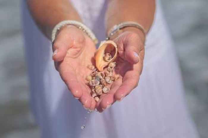 Woman urges holidaymakers to be careful after picking up deadly shell on beach