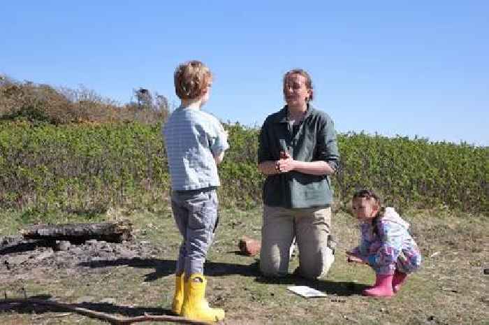 Exciting summer holiday events planned for Dumfries and Galloway coastal woodlands