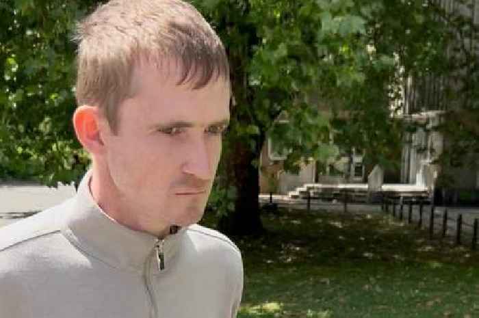 Man caught sexually abusing horses while volunteering at stables