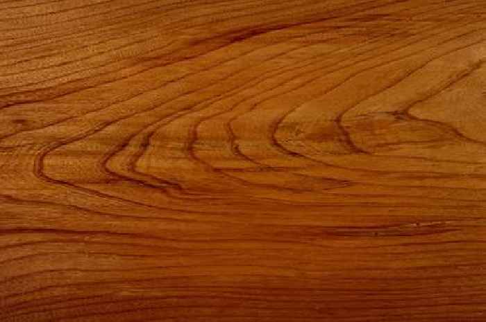 Picture of plank of wood trips everyone up due to mind-melting optical illusion