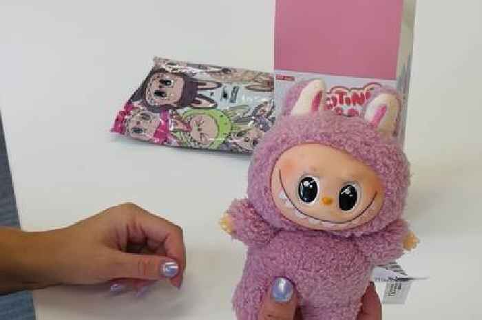 Scots kids 'heartbroken' by flood of fake Labubu dolls as counterfeit craze spirals out of control