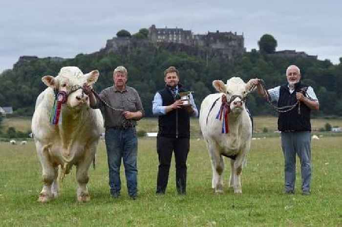 Stirling farm returns from Royal Highland Show with hat trick of big wins