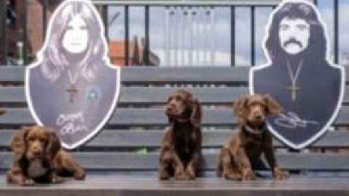 Black Sabbath inspires police puppy names