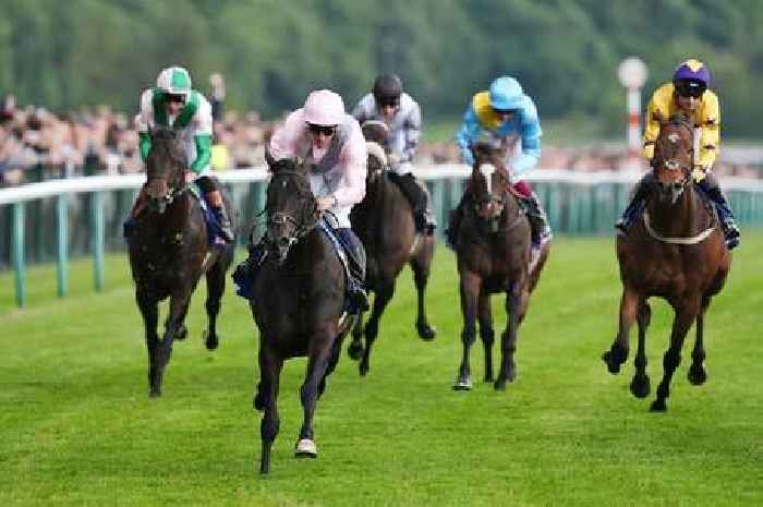 Horse racing tips today from expert Jason Heavey – 'she has miles to spare on the clock'