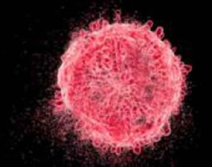 University gets grant to fight childhood cancer