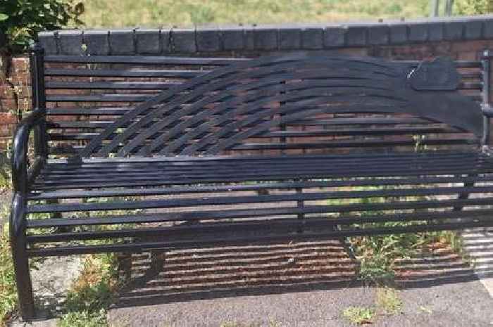 Rainbow bench that had nothing to do with Pride painted black by vandals