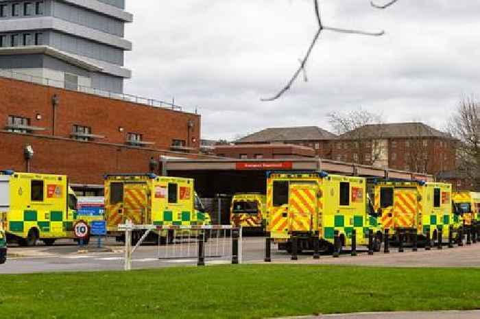 Hospital strike hits 100 days as blood staff demand fairer pay
